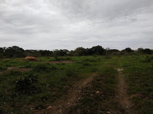 Venta Terreno 6 Has. Santiago De La Peña Tuxpan Veracruz