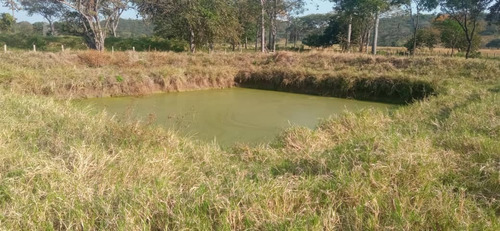 Imagen 10 de 26 de Finca En Apartadero - Cojedes