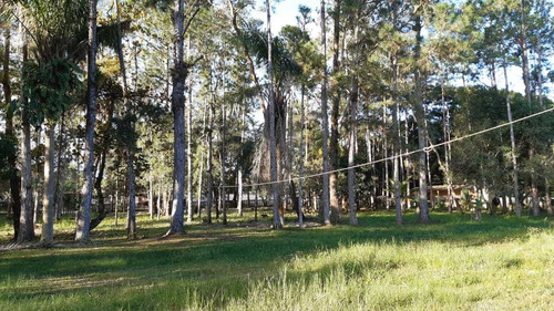 Imagem 6 de 14 de Chácara À Venda Com 3.330 M² De Terreno Em Itanhaém.1319 M H