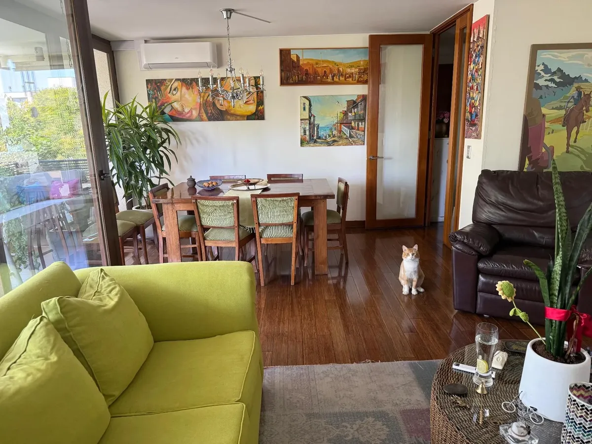 Imagen 4 de 23 de Venta Usado Departamento 3d 3b - Providencia