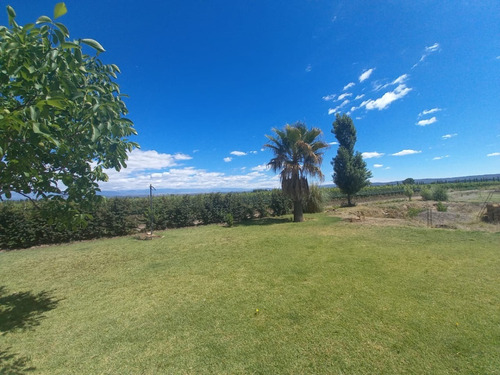 Imagen 11 de 13 de Vendo Hermosa Finca En Tupungato, Mendoza
