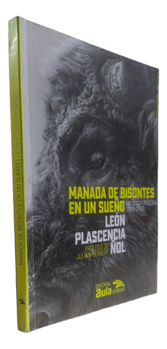 Manada De Bisontes En Un Sueño Placencia Ñol León Aula De H.