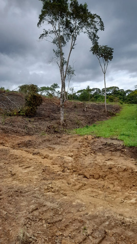 Terreno Em Eldorado 1000m Com Cachoeira No Quintal