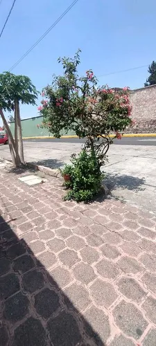 Casa En Venta En Vasco De Quiroga