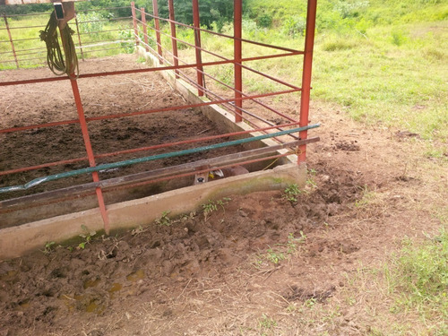 Imagen 9 de 14 de Excelente Finca Ubicada En San Sebastian. Estado Aragua