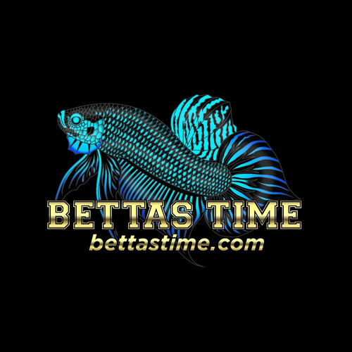 Kit De Productos Para Reproducción De Peces Betta