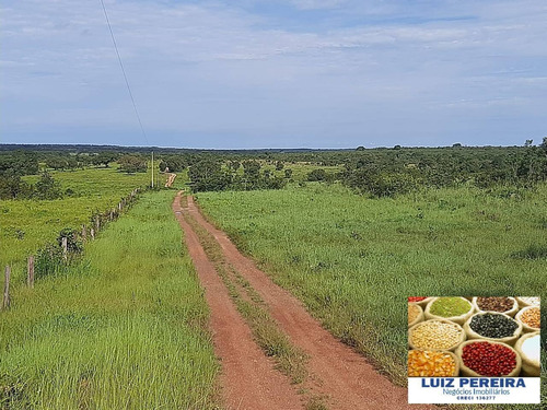 Imagem 11 de 15 de Fazenda À Venda No Vale Do Araguaia / Divinópolis - To - (dupla Aptidão) - 1705