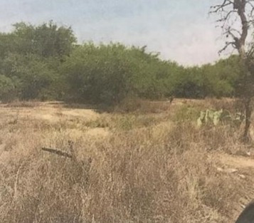 Imagen 6 de 7 de Terreno En Venta En Las Maravillas
