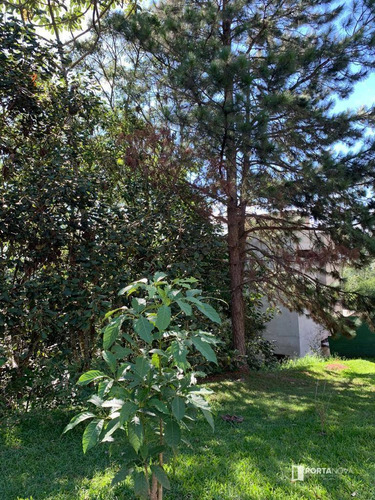Terreno À Venda, 700 M² Por R$ 350.000,00 - Parque Das Artes - Embu Das Artes/sp - Te0262