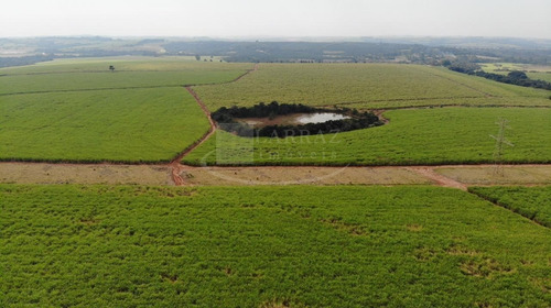 Excelente Fazenda Para Venda Em Itapetininga-sp, Com 244 Alqueires, Formada Em Cana, Frente Para Rodovia Castelo Branco, Rica Em Agua, Rio Nos Fundos - Fa00084 - 69245340