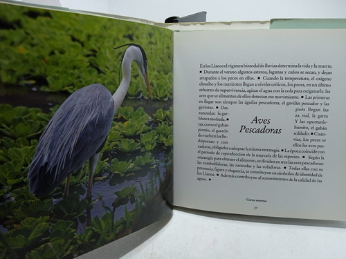 Imagen 5 de 5 de Aves Del Llano - Fauna Colombia - Ambiente Colombia