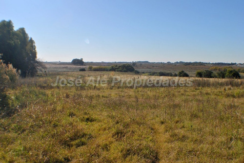 Imagen 8 de 11 de En Venta 5 Ha Con Dos Casas Colonia Del Sacramento