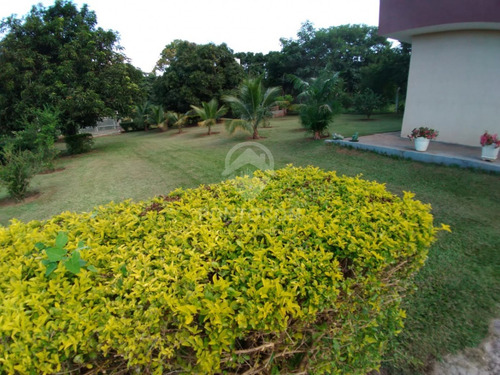 Imagem 13 de 25 de Chacara Linda Terras De São Lucas - 3840888v