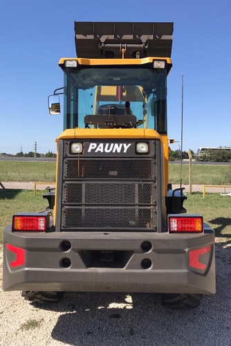 Imagen 3 de 15 de Palas Cargadoras Pauny De 1m3 A 3m3, 87hp/220hp