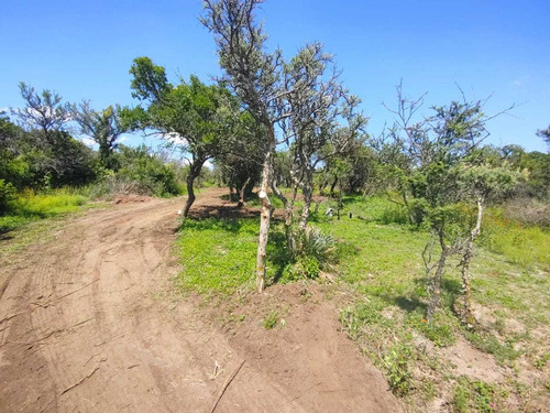 Imagen 6 de 14 de Preventa De Lotes De 1000m2 Y 1250m2 En San Luis