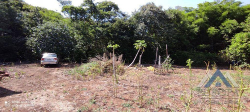 Imagem 12 de 30 de Chácara À Venda, 3000 M² Por R$ 220.000,00 - Rural - Ibiporã/pr - Ch0198