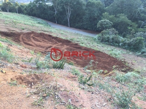 Imagem 8 de 8 de Terreno Com 600 M² Na Prata, Teresópolis/rj - Te00195 - 33621196