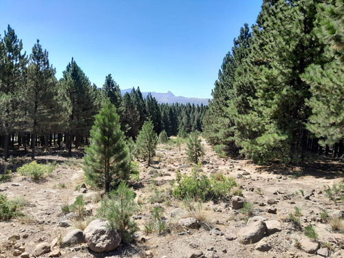 Terreno En El Desafio Mountain Resort, San Martin De Los Andes