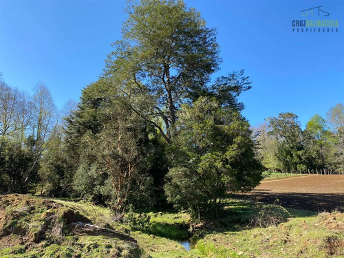 Agrícola En Venta En Fresia