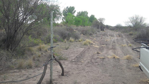 Imagen 17 de 20 de Campo En Venta 400 Ha - Colonia Elena- San Rafael - Mendoza