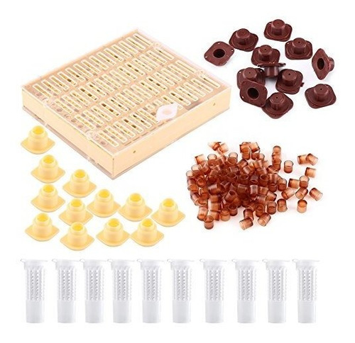 Apicultura Completo Kit De Cria De Reina Tazas Caja Celda De