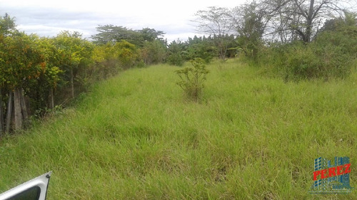 Imagem 16 de 20 de Chácaras_sítios_fazendas Para Venda - 13650.3925
