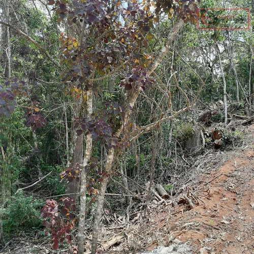 Imagem 5 de 6 de Terrenos Em Loteamento Fechado À Venda Em Mairiporã/sp - Compre O Seu Terrenos Em Loteamento Fechado Aqui! - 1488492