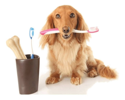 Pasta Dental Pet-o-dent Higiene Bucal Perros Gatos 125gr
