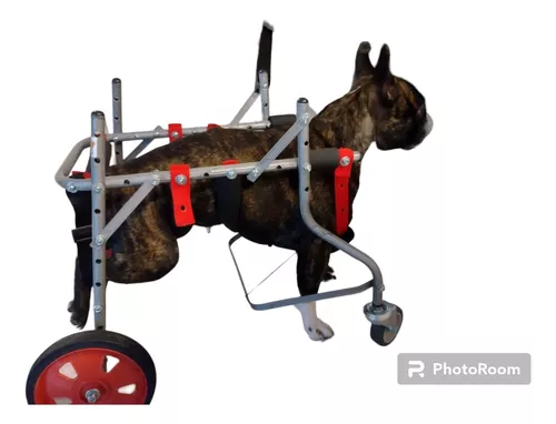 Carrito para perros de 4 ruedas Run Again! 