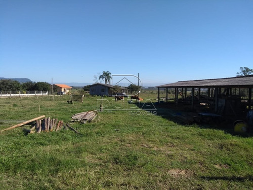 Imagem 6 de 15 de Sitio - Coqueiros - Ref: 26160 - V-26160