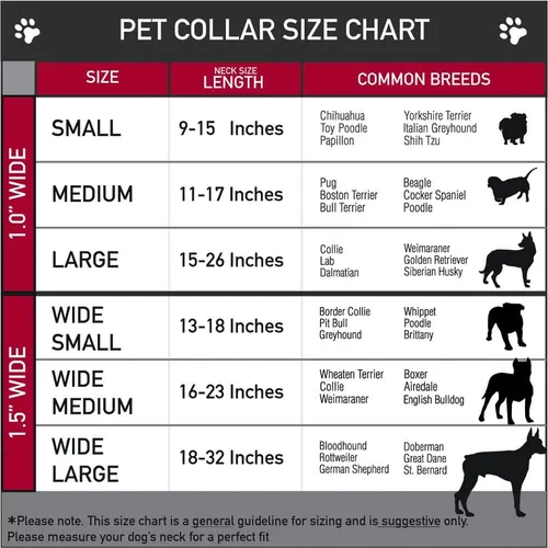 Collar Para Perro Dybf-princess Gem Close-up Full Color