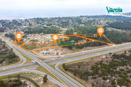 Imagen 5 de 8 de Terrenos Financiados En La Floresta Sur - Balnearios La Floresta
