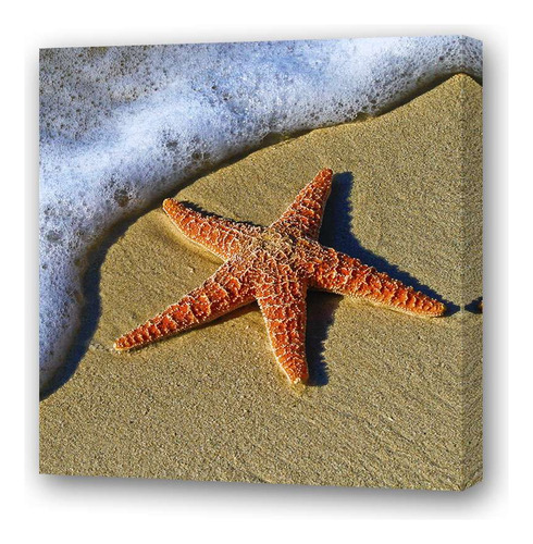 Cuadro 20x20cm Estrella De Mar En Playa Con Arena Roja