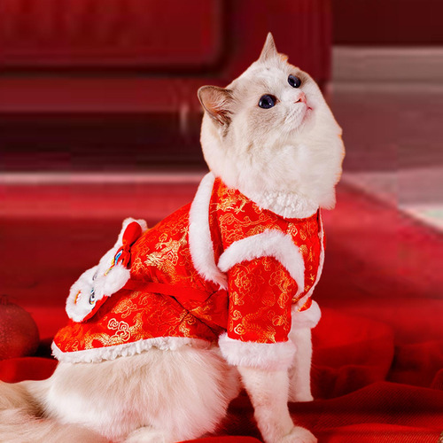 Gato Chinês Ano Novo Traje Cão Tang Terno Inverno S