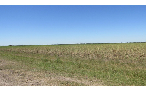 Imagen 6 de 30 de Campo Ganadero 3220 Ha - ( 420 Agrícolas ) Reconquista - Prov. De Santa Fe