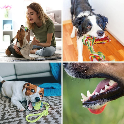 Imagen 6 de 8 de Set 10 Juguetes Para Mascotas, Pelota De Cuerda, Disco Y Más