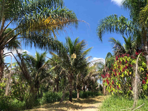 Imagem 4 de 30 de Sitio Em Esmeraldas - St00221 - 70785384