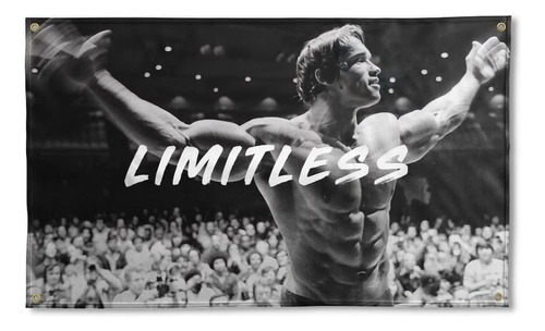 Limitless - Cartel De Bandera De Arnold Schwarzenegger De 3 