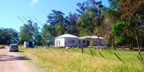 Imagen 17 de 19 de Maldonado, Eden Rock - Hermosa Casa En Balneario- Ref: 1096