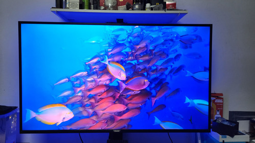 Pantalla Philips 55pfl5604/f7 55 4k Uhd Smart Tv Android (Usado)