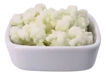Comprar Kéfir De Leche \u002F Búlgaro De Leche \u002F Nódulos + Tríptico Guía