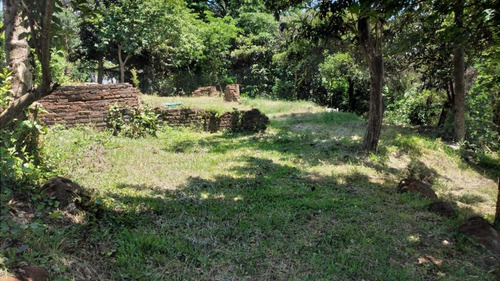 Imagen 9 de 13 de Muy Buen Terreno Para Inversión