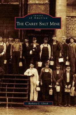 Libro Carey Salt Mine - Barbara C Ulrich