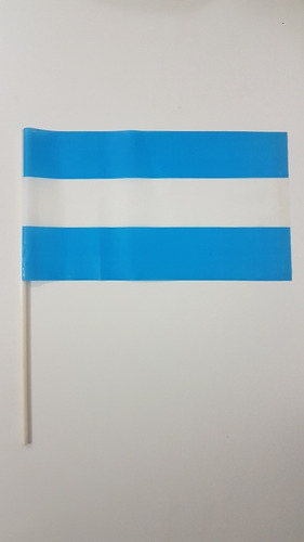 Pack X 10- Banderas Argentina De Plástico Con Palito Sin Sol