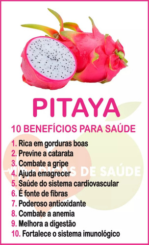 Muda Pitaia Pitaya Imperial Espanhola- Legítima E Rara