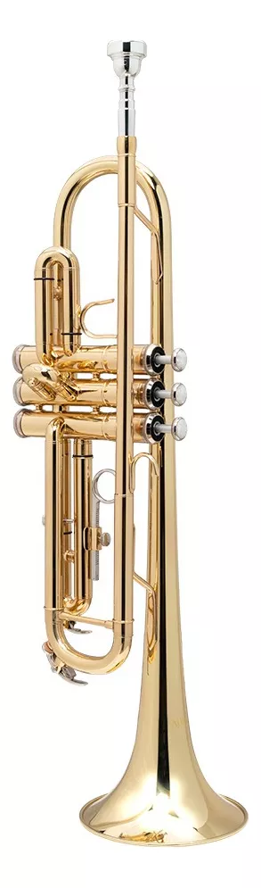 Tercera imagen para búsqueda de trompetas