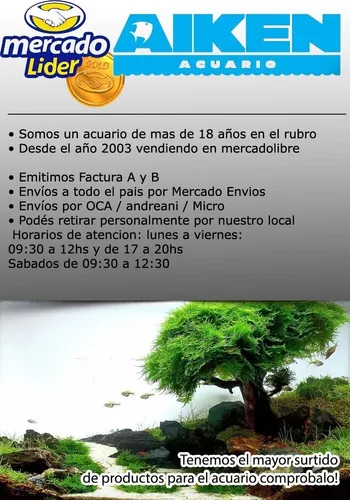 Adorno Con Movimiento Almeja Tropical Penn Plax Aiken Acuario Lomas De Zamora