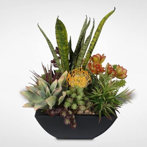 Arreglo De Sansevieria Y Suculentas Surtidas Artificiales