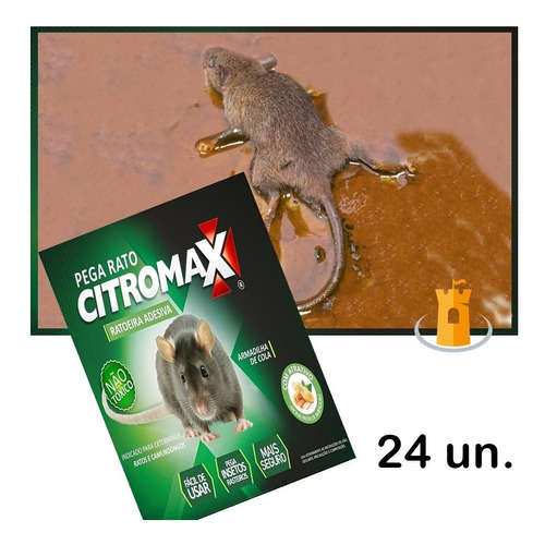 Adesivo Cola Para Ratos Kit 24 Armadilhas (não-tóxica)