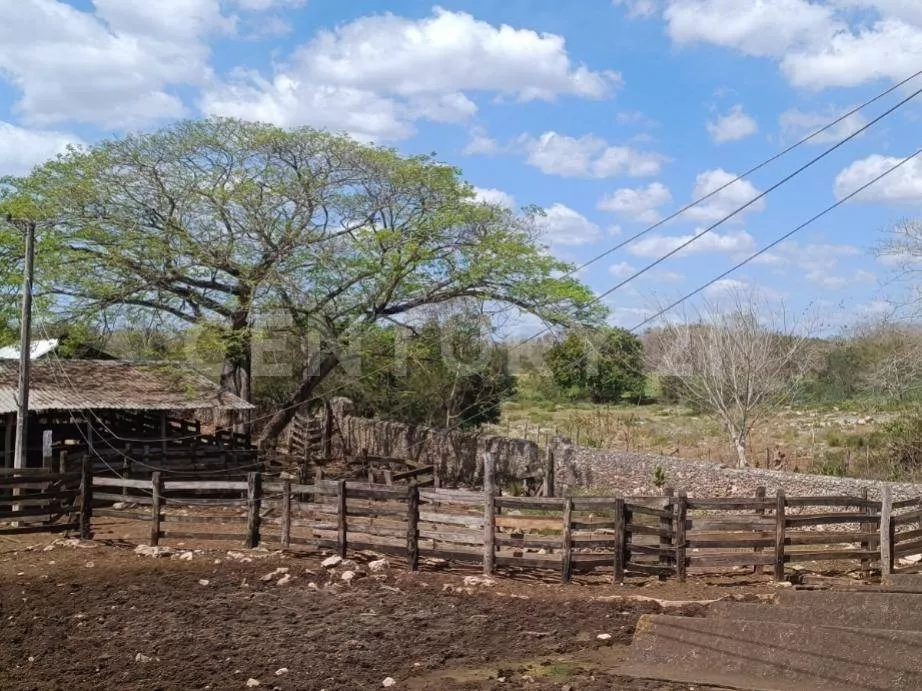 Rancho De 680 Ha -200 Con Irrigación-, Sobre Carretera Izamal Tunkás, Yucatan